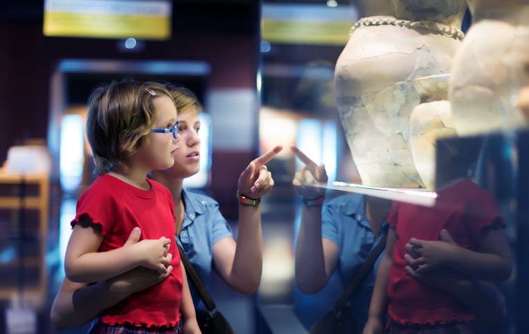 Museum Facility Services